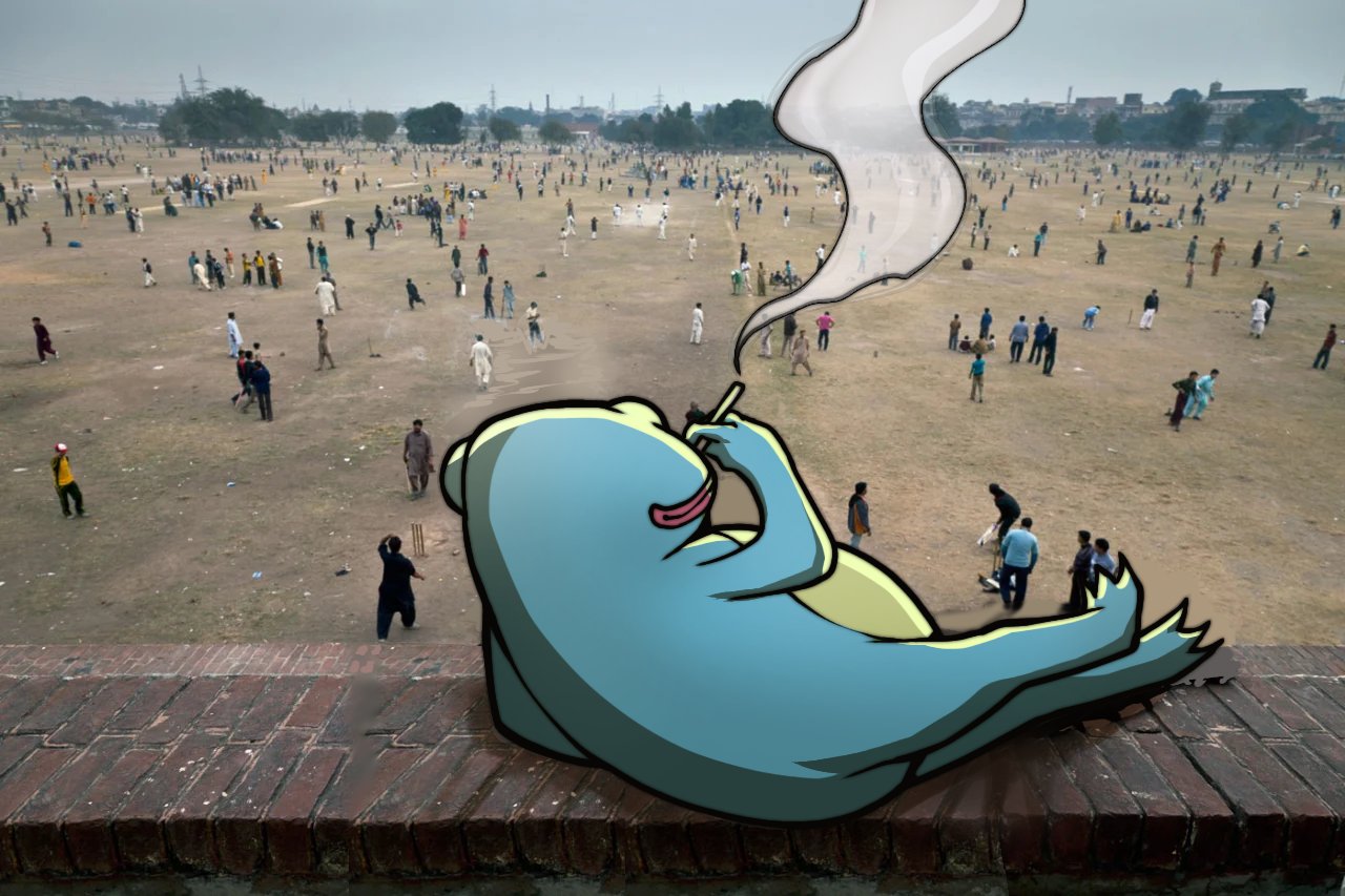 Frog smoking
